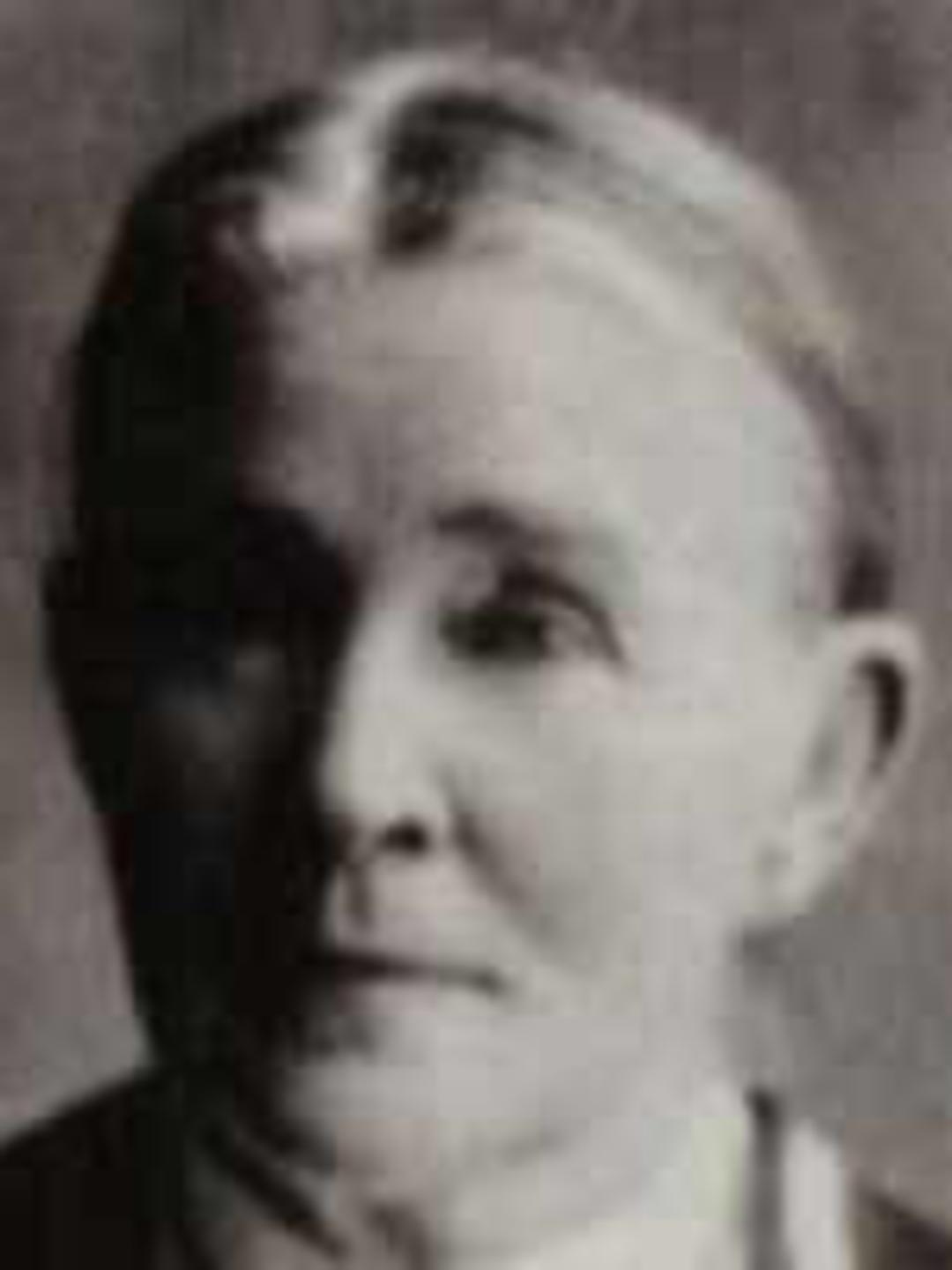 Amelia Chambers (1846 - 1916) Profile